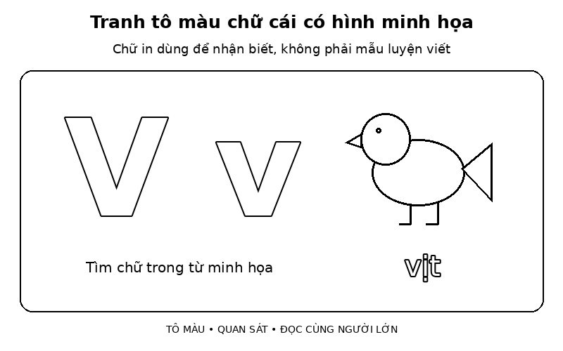 Tranh tô màu chữ cái có hình minh họa: v – vịt