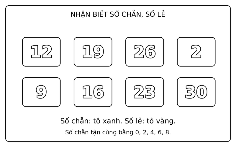Tranh tô màu số chẵn và số lẻ: phân biệt số chẵn và số lẻ trong nhóm 12, 19, 26, 2, 9, 16, 23, 30