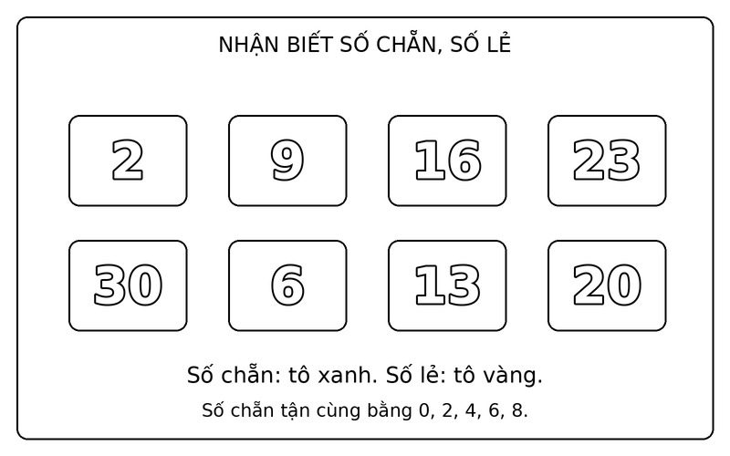 Tranh tô màu số chẵn và số lẻ: phân biệt số chẵn và số lẻ trong nhóm 2, 9, 16, 23, 30, 6, 13, 20