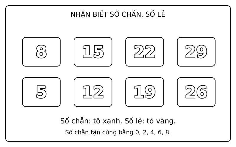 Tranh tô màu số chẵn và số lẻ: phân biệt số chẵn và số lẻ trong nhóm 8, 15, 22, 29, 5, 12, 19, 26