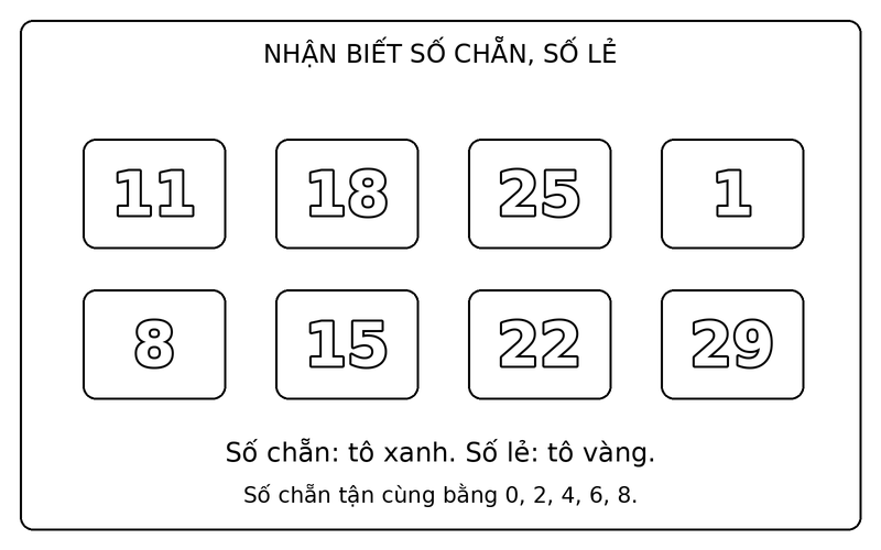 Tranh tô màu số chẵn và số lẻ: phân biệt số chẵn và số lẻ trong nhóm 11, 18, 25, 1, 8, 15, 22, 29