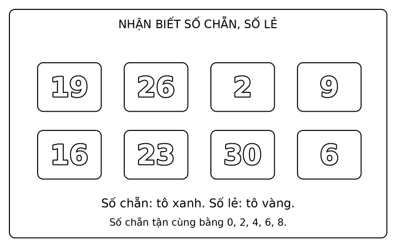 Tranh tô màu số chẵn và số lẻ: phân biệt số chẵn và số lẻ trong nhóm 19, 26, 2, 9, 16, 23, 30, 6