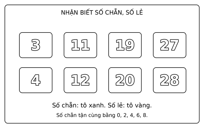 Tranh tô màu số chẵn và số lẻ: phân biệt số chẵn và số lẻ trong nhóm 3, 11, 19, 27, 4, 12, 20, 28