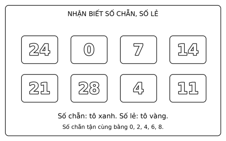 33 Tranh Tô Màu Số Chẵn Và Số Lẻ: Phân Nhóm Bằng Màu